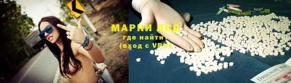 индика Балабаново