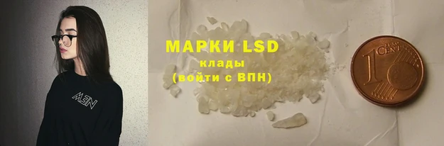 индика Балабаново
