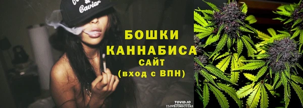 индика Балабаново