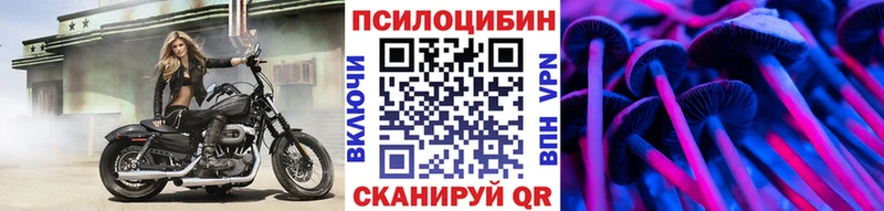 Галлюциногенные грибы GOLDEN TEACHER Купить где Северобайкальск