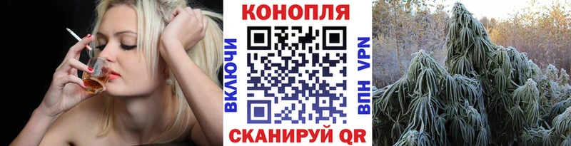 Купить где  Северобайкальск  Марихуана индика 